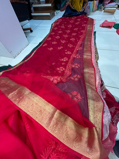 Stunning red saree