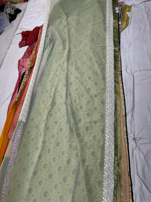 Light green Lovely Saree