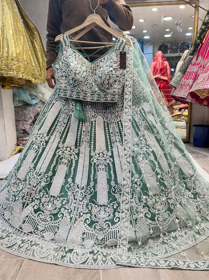 Fantastic silver green Lehenga