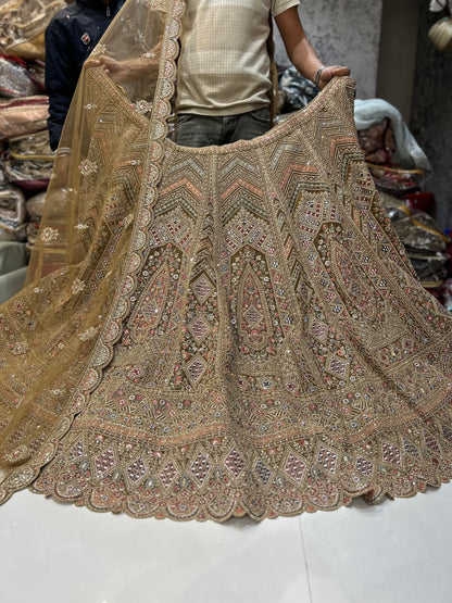 Stunning pink lehenga