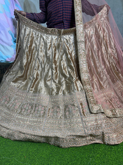 Amazing Lehenga