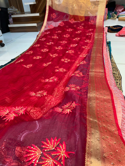 Stunning red saree