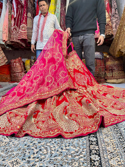 Fair peacock red bridal lehenga