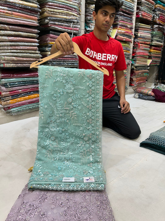 Extraordinary sky-blue fancy saree