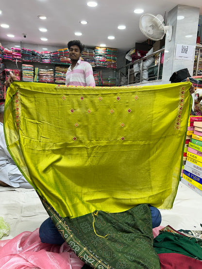 Stunning green Saree