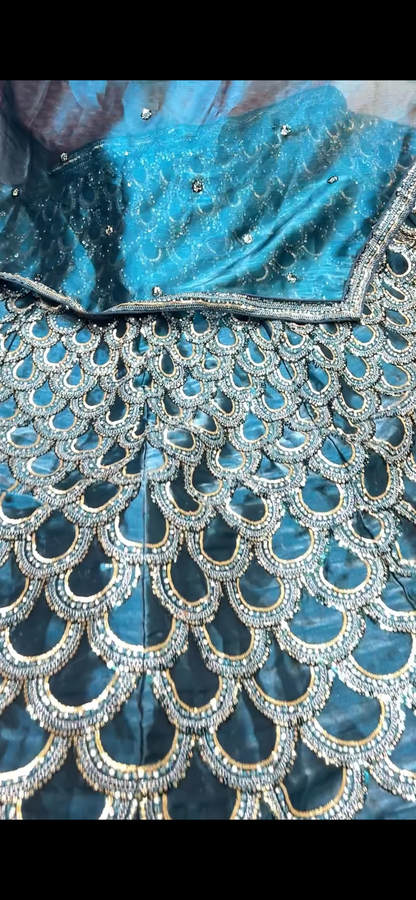 Peacock feather Beautiful Blue Lehenga