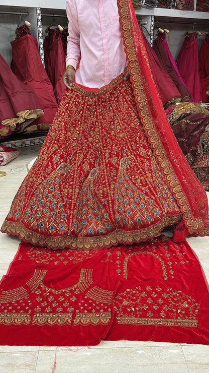 Wow red peacock bridal lehenga