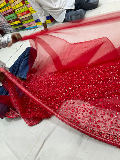 Gorgeous Red saree