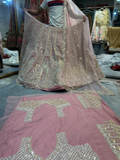 Stunning baby pink Lehenga