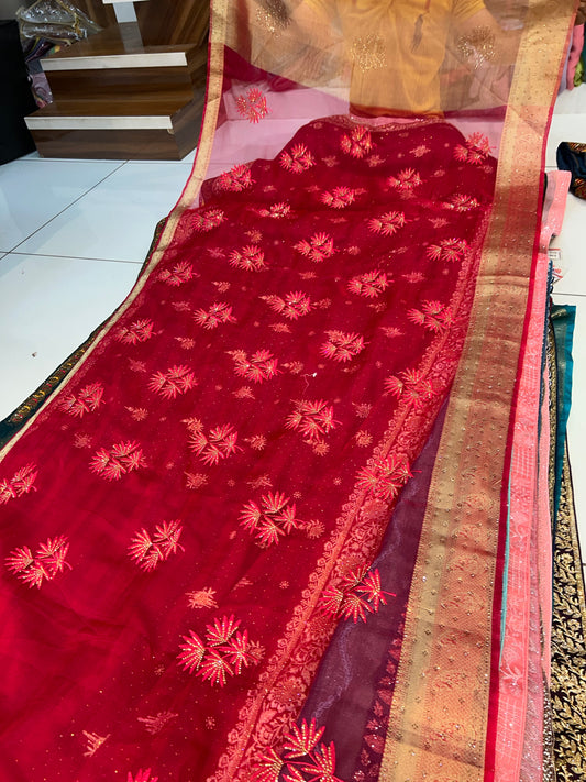 Stunning red saree