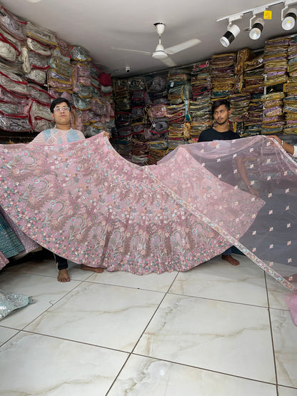 Amazing pink Lehenga Delhi