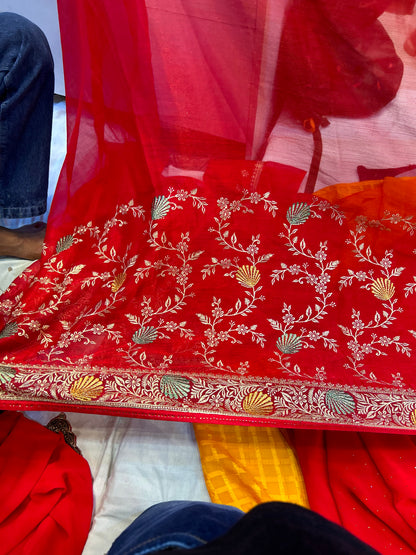 Fabulous Red saree