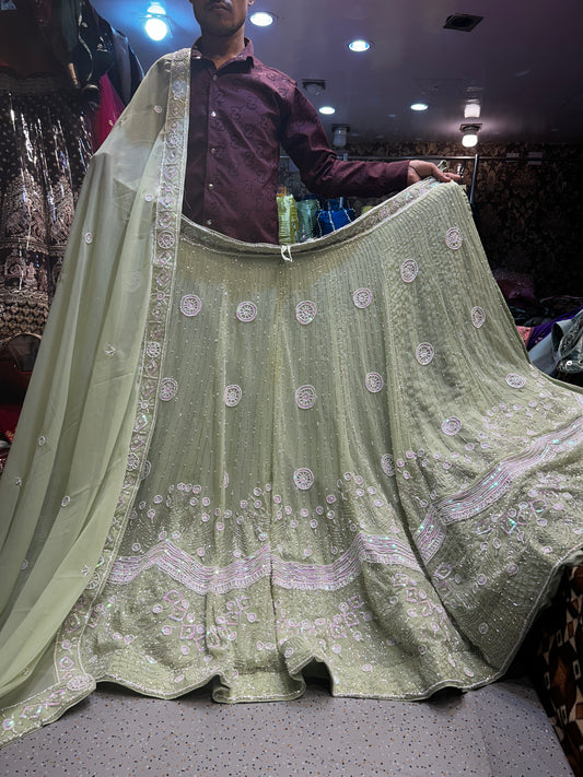 Fantastic Lehenga Light green ❤️