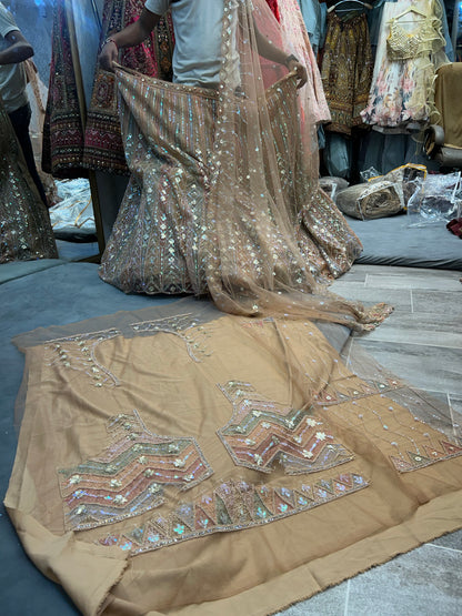 Elegant beige peach pink Sequence Lehenga