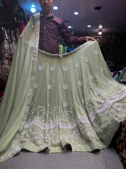 Fantastic Lehenga Light green ❤️