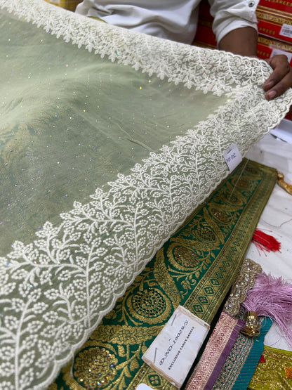 Light green Lovely Saree