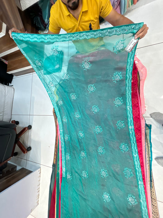 Wonderful Aqua Green saree