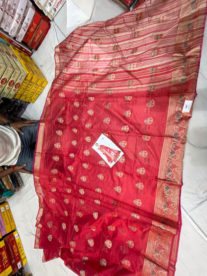 Majestic red saree