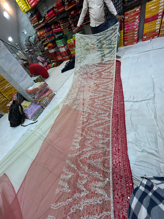 Light green pure handwork saree