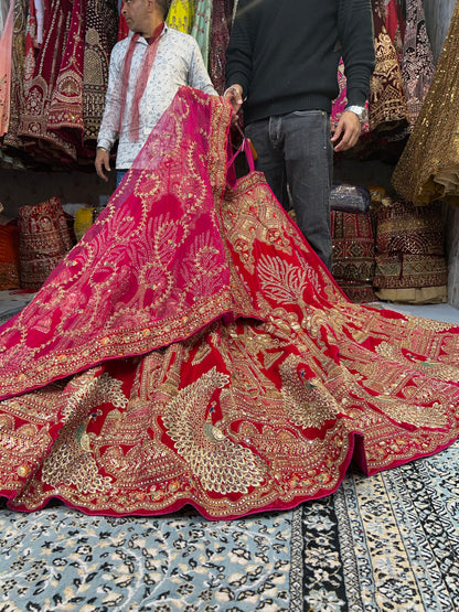 Fair peacock red bridal lehenga