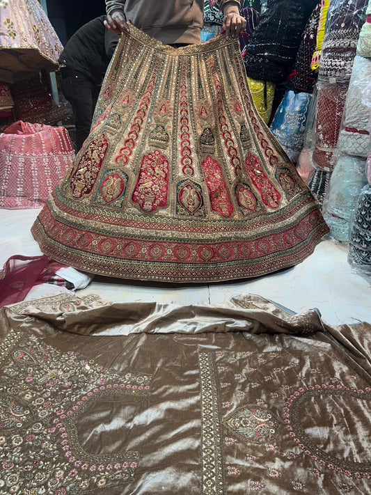 Gorgeous Light golden Royal Lehenga