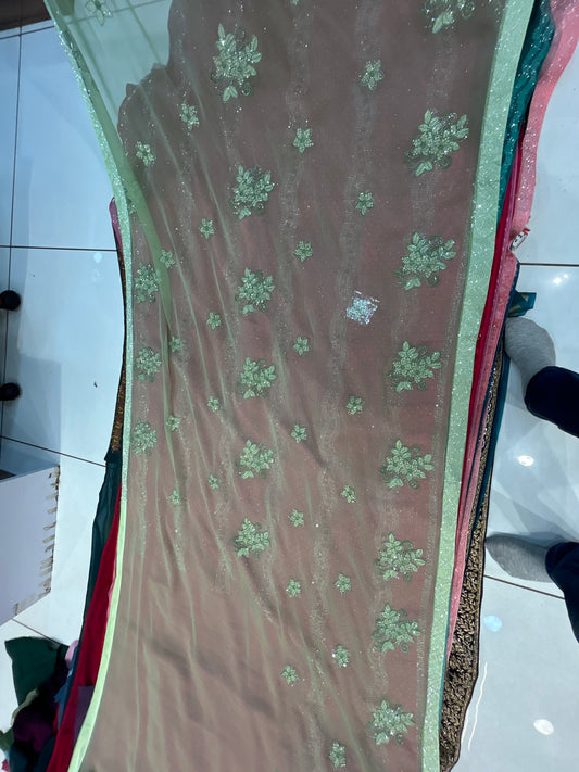 Amazing green saree