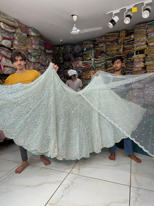 Stunning white aqua green Lehenga �