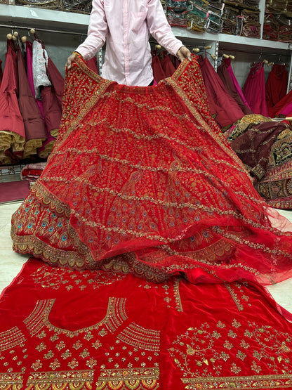 Wow red peacock bridal lehenga