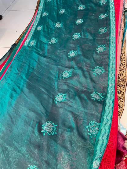 Wonderful Aqua Green saree