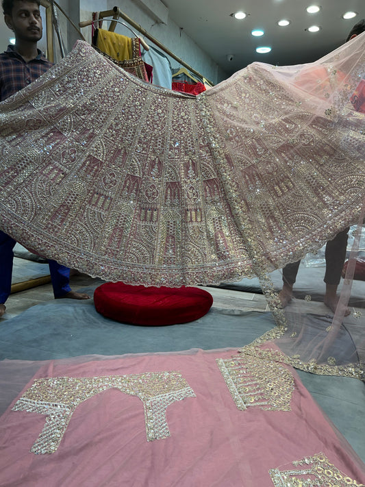 Stunning baby pink Lehenga