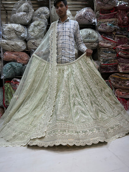 Pretty green lehenga