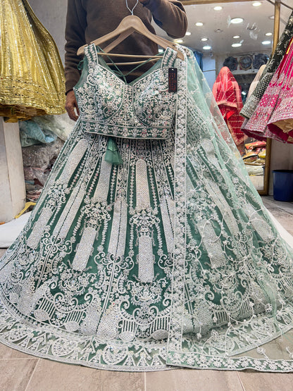 Fantastic silver green Lehenga