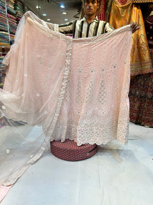 Cutwork Baby pink stunning lehenga