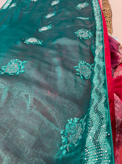 Wonderful Aqua Green saree