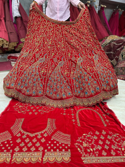 Wow red peacock bridal lehenga