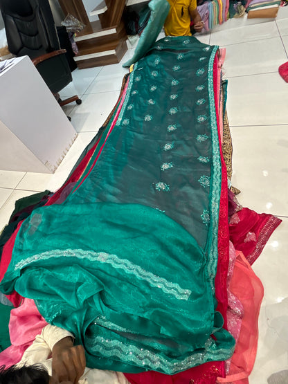 Wonderful Aqua Green saree