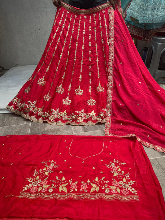 Lovely red pink Lehenga