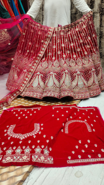 Tremendous Red panel lehenga