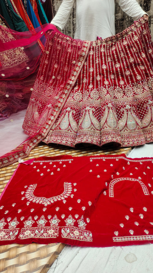 Lehenga con panel rojo espectacular