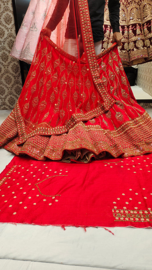 Bridal Panel Jhumka Heavy border LEHENGA