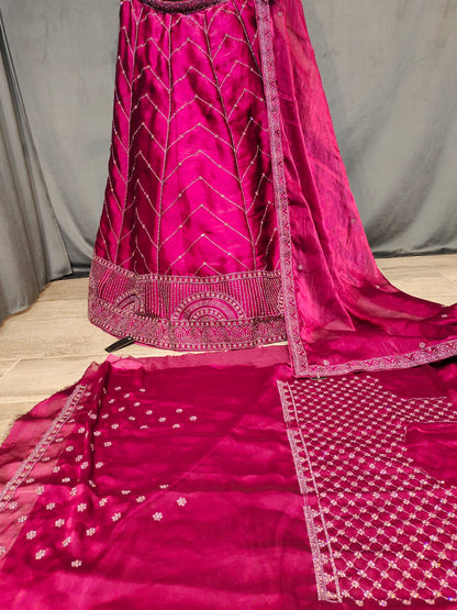 Superb red pink Lehenga