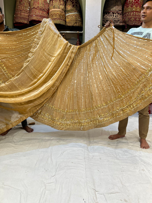 Stunning Golden Lehenga