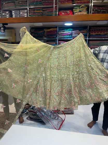 Lovely  green Lehenga ❤️