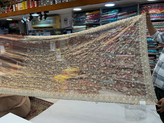 Gorgeous brown fancy saree