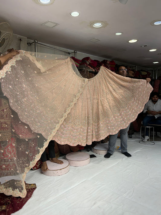 Extraordinary  pink Lehenga 🥰