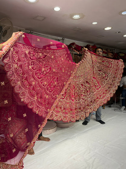 Lavishing Designer Handmade Red Lehenga