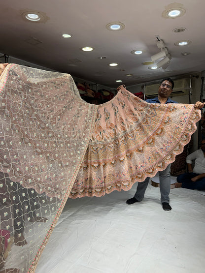 Blogbuster baby pink Lehenga 🥰