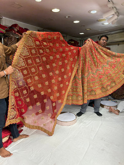 Extraordinary Red Lehenga