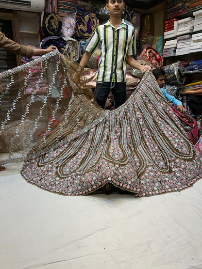 Lovely Onion pink brown Designer Lehenga