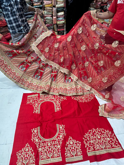 Stunning Red Lehenga Delhi